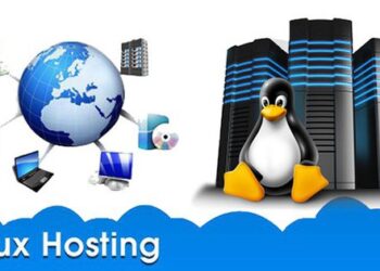 Linux Server Hosting Provider