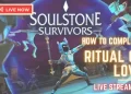 Soulstone Survivors