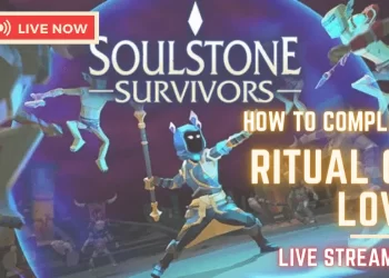 Soulstone Survivors