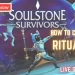 Soulstone Survivors