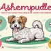 Unique Ashempudel traits that make them stand out among dog breeds